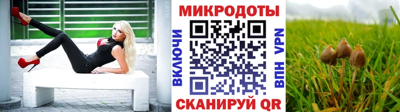 Псилоцибиновые грибы Magic Shrooms  Купить закладки  Окуловка 